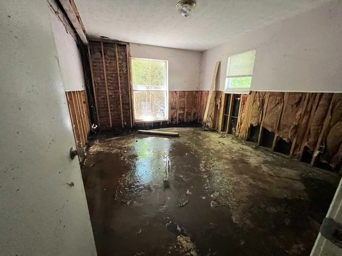 Basement Flood Cleanup in Ocean Springs, MS